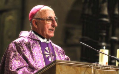 El Sínodo Diocesano inicia el período de formar grupos sinodales
