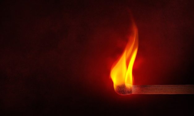 ¿Cómo arde la llama sinodal en tu comunidad?